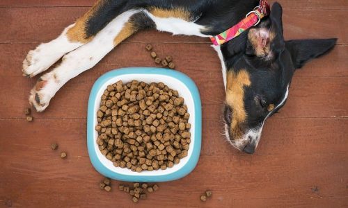 Acana Dog Food